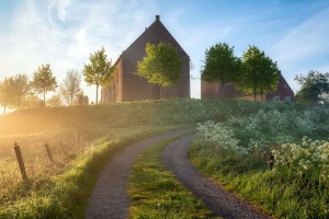 七只狸猫苏州旅游路线，七只猫旅馆在哪里？