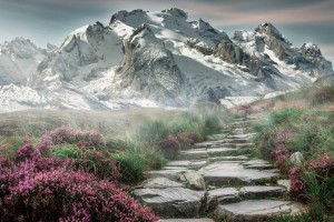 规划旅游路线，规划旅游路线用什么软件