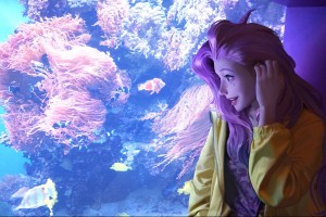 桂林附近旅游景点推荐，桂林附近旅游景点推荐路线图？